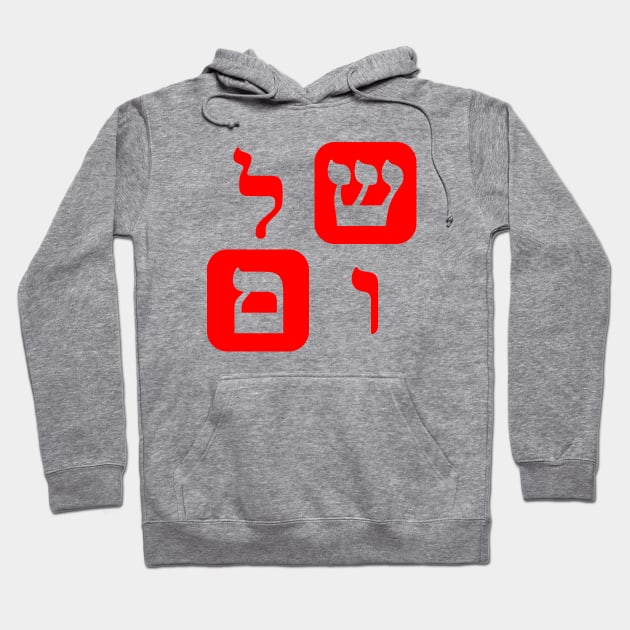 Hebrew Word for Peace Shalom Hebrew Letters Red Aesthetic Hoodie by Hebrewisms